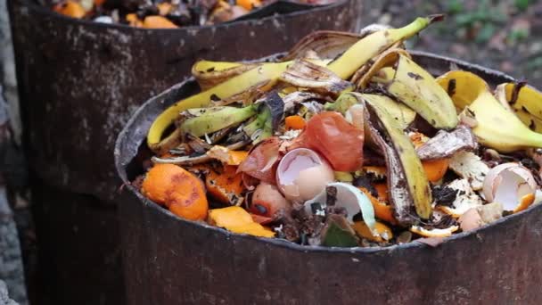 Hem Komposten Fat Sortera Kompostering — Stockvideo