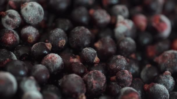 Frozen Black Currants Background Ice Frost Macro Rotation Summer Berries — Stock Video