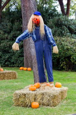 Canavarlar Cadılar Bayramı partisi için