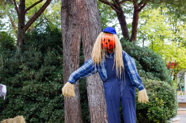 Canavarlar Cadılar Bayramı partisi için