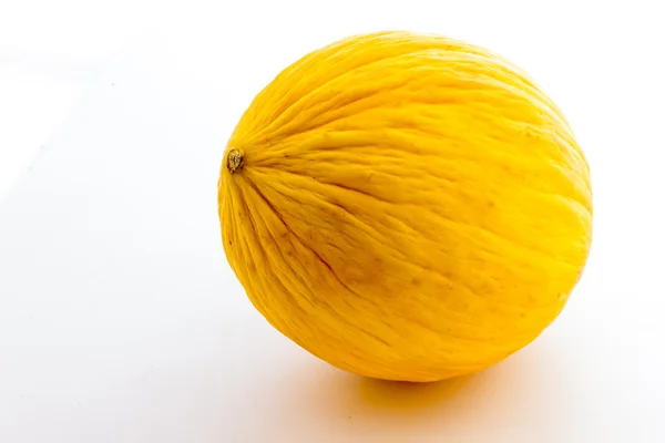 Biologi melon kuning — Stok Foto