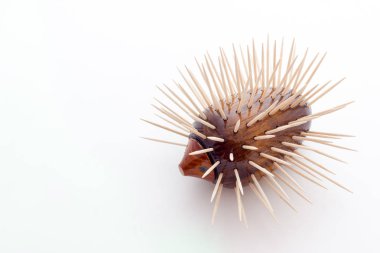 Kürdan tutucu görünümü