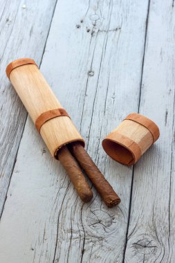 Küba purosu görünümü