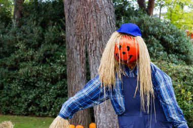 Canavarlar Cadılar Bayramı partisi için