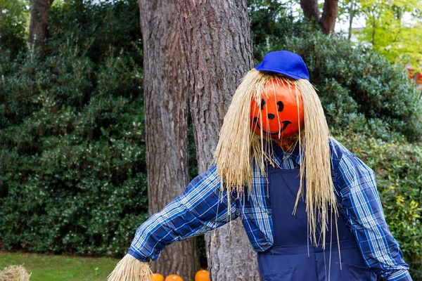 Canavarlar Cadılar Bayramı partisi için