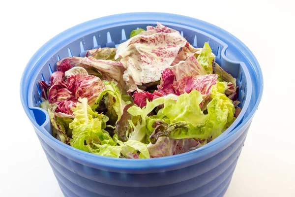Салат з відцентровою сушаркою — стокове фото