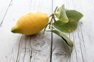 Sicilya limon yaprakları ile