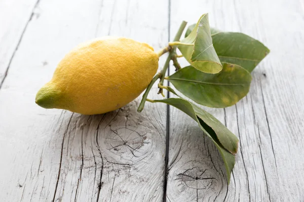 Sicilya limon yaprakları ile