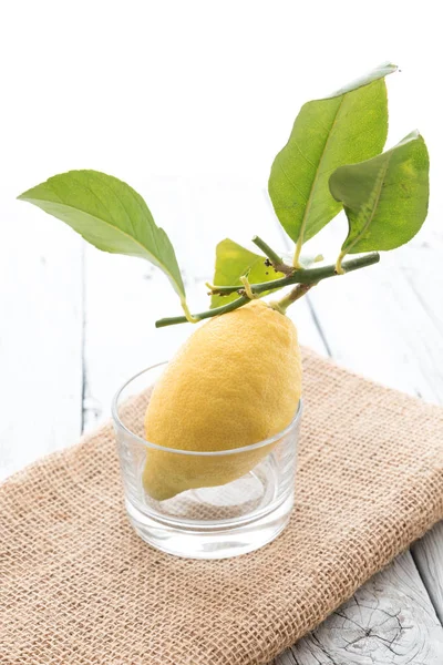 Sizilianische Zitrone mit Blättern — Stockfoto