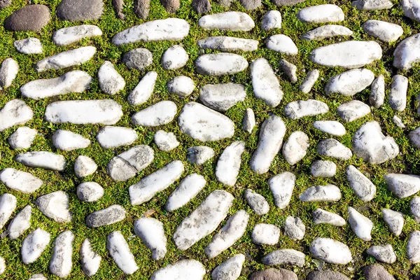 Estrada de pedra antiga em Bolonha Itália — Fotografia de Stock