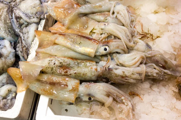 Pescado de mar en puestos de mercado — Foto de Stock