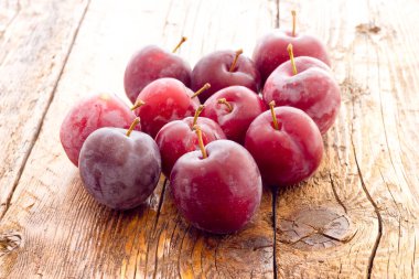 Kırmızı Erik görünümü