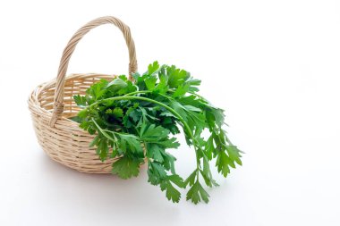 Maydanoz biyolojik bırakır