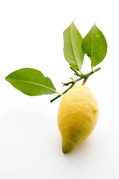 Lemon Sisilia dengan daun — Stok Foto