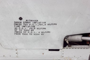 Gövde ayrıntı görünümü