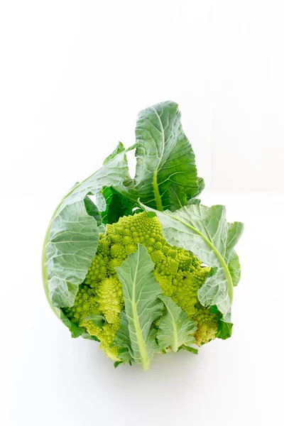 Broccolo romanesco с белым фоном — стоковое фото