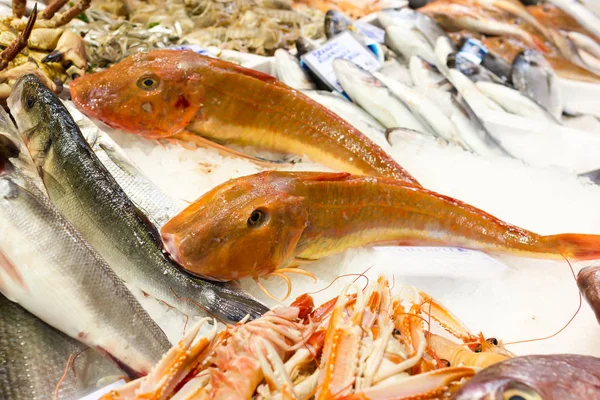 Pescado de mar en puestos de mercado — Foto de Stock