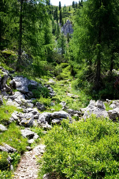 Senderos de Montaña Tres Picos Lavaredo — Foto de Stock