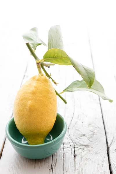 Sicilian lemon with leaves — Stock Photo, Image