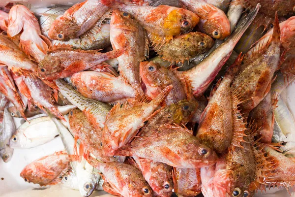 Pescado de mar en puestos de mercado — Foto de Stock