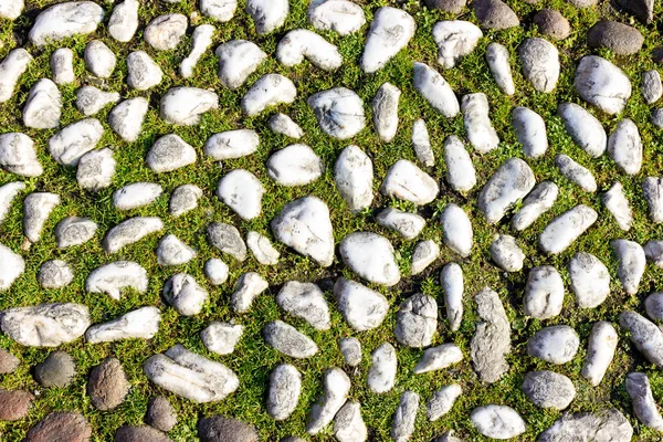 Estrada de pedra antiga em Bolonha Itália — Fotografia de Stock