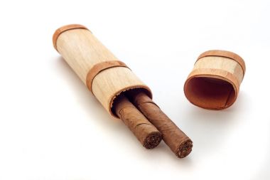 Küba purosu görünümü