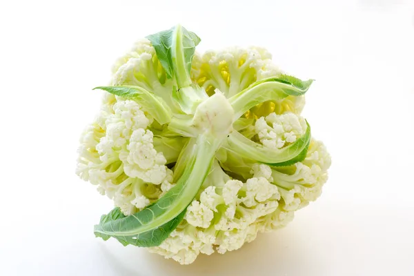 Chou-fleur cru avec fond blanc — Photo