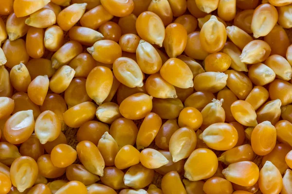 Maíz para palomitas de maíz —  Fotos de Stock