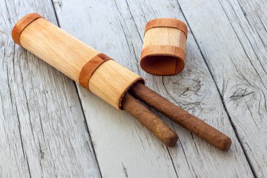 Küba purosu görünümü