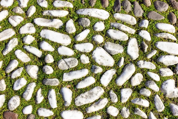 Estrada de pedra antiga em Bolonha Itália — Fotografia de Stock