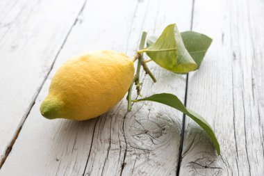 Sicilya limon yaprakları ile