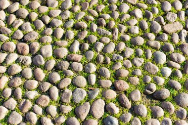 Bologna İtalya antik taş yol