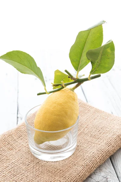 Sizilianische Zitrone mit Blättern — Stockfoto