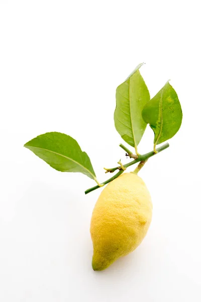 Sicilian lemon with leaves — Stock Photo, Image