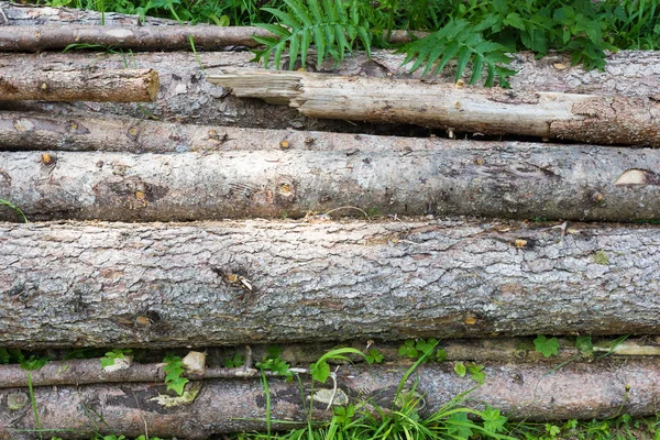 Деревянный вид текстуры — стоковое фото