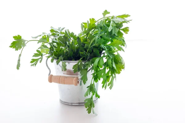 Parsley leaves biological — Stock Photo, Image