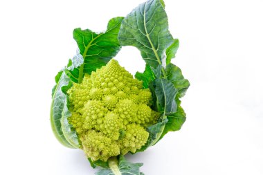 Broccolo romanesco beyaz arka plan ile