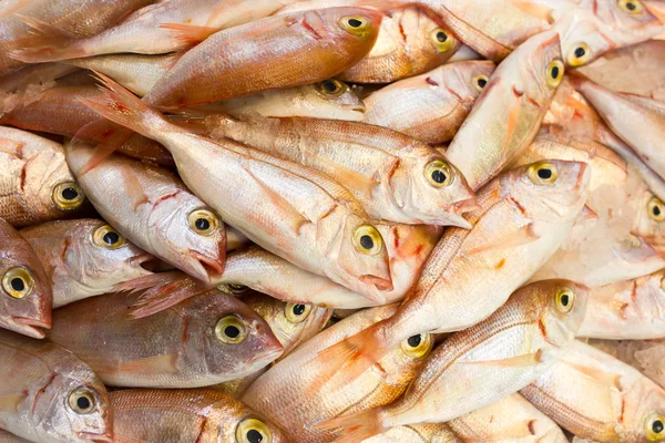 Deniz balık pazarında tezgahları