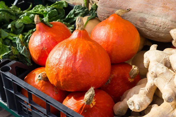 Rote Kürbisse auf dem Markt — Stockfoto