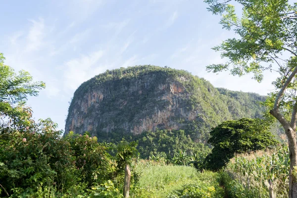 Panorama in Cuba — Stockfoto