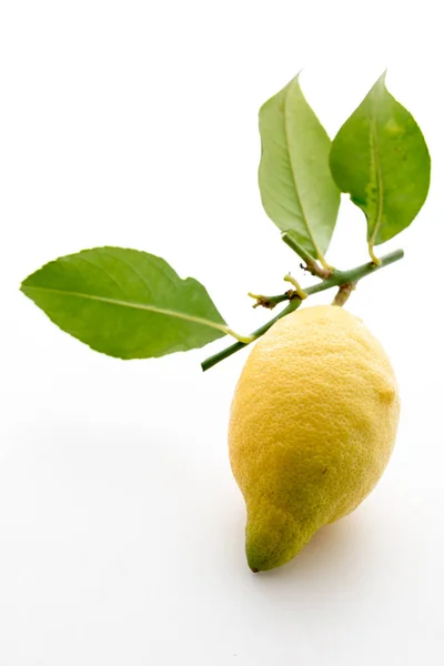 Sicilian lemon with leaves — Stock Photo, Image