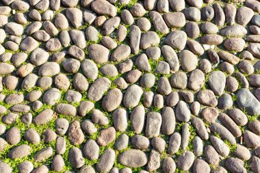 Bologna İtalya antik taş yol