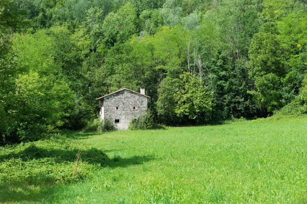 Каменный дом на лугу
