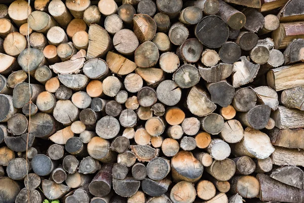 Kesik ahşap gövde dokusu