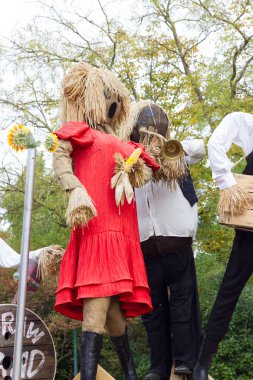 Cadılar Bayramı partisi için turuncu kabak