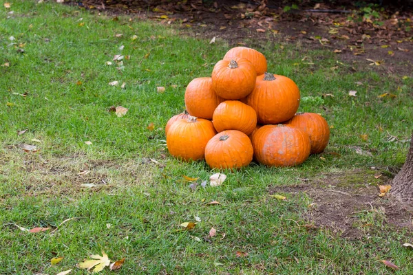 Pomarańczowe dynie halloween party — Zdjęcie stockowe