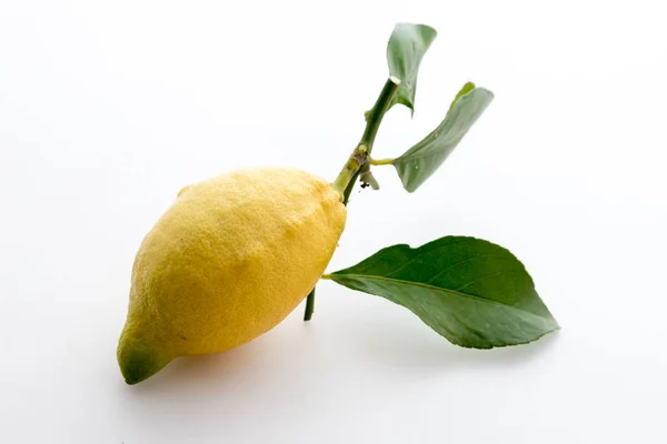 Lemon Sisilia dengan daun — Stok Foto