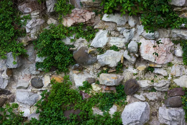 Duvar dokuları görüntülemek