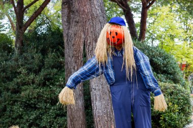 Canavarlar Cadılar Bayramı partisi için