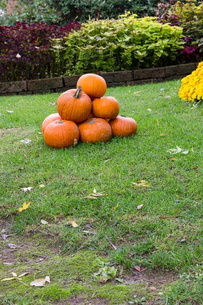 Abóboras de laranja para festa de Halloween — Fotografia de Stock